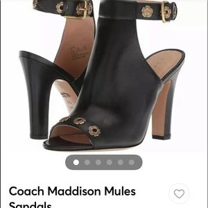 Fabulous coach heals sz 6